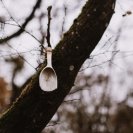 La forêt du bout des doigts